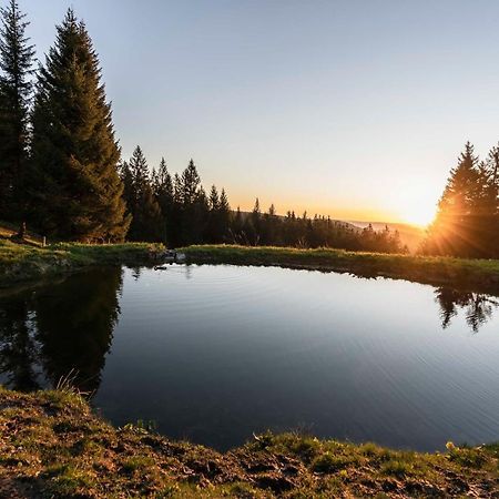 Waldhotel Fehrenbach Hinterzarten Εξωτερικό φωτογραφία